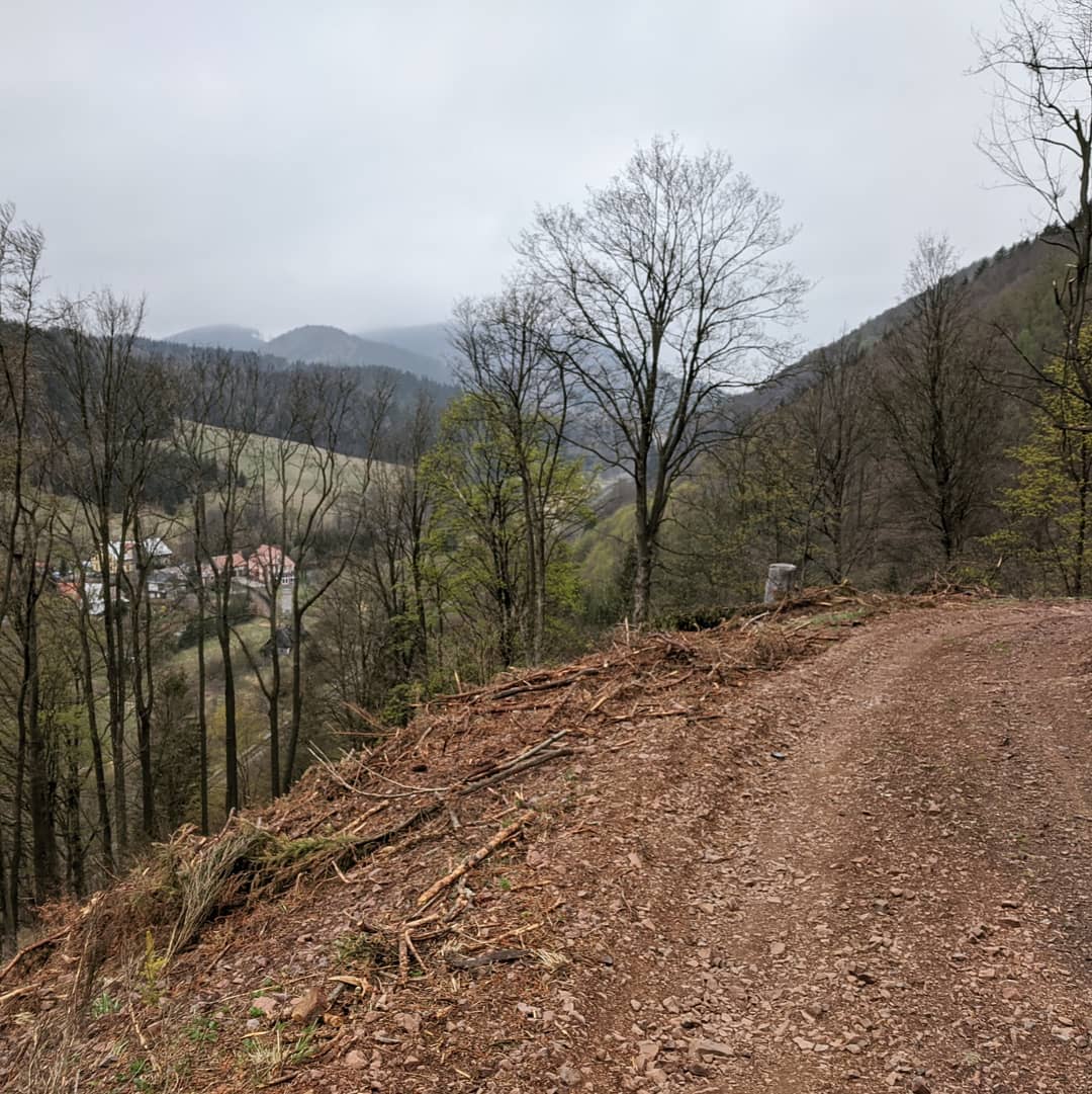 Góry Kamienne@2021-04-26 - Photo 2
