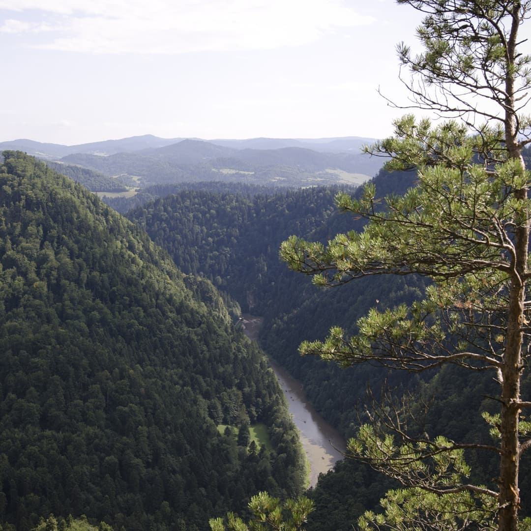 Pieniny@2021-08-05 - Photo 10