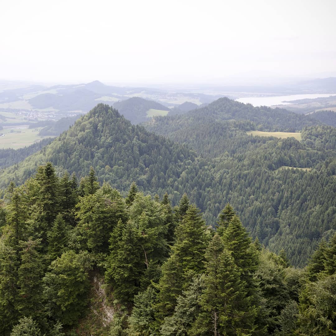 Pieniny@2021-08-05 - Photo 3