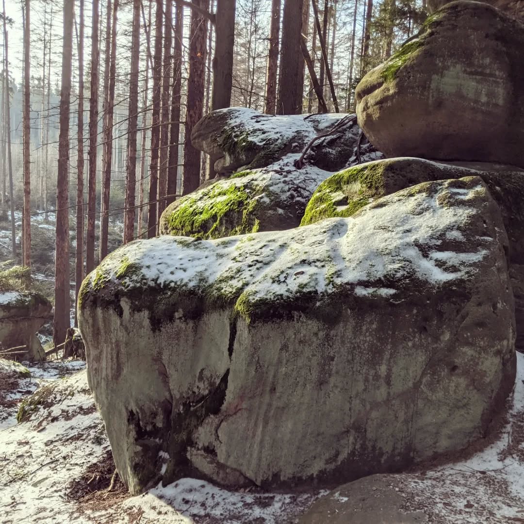 Skalne Grzyby@2022-01-17 - Photo 3