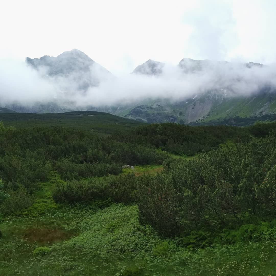 Hala Gasienicowa@2021-07-17 - Photo 4