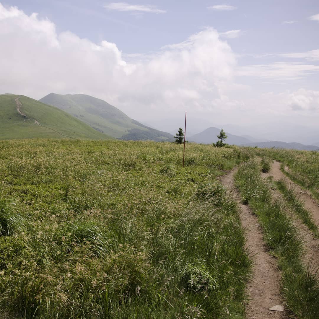 Bieszczady@2021-06-22 - Photo 1