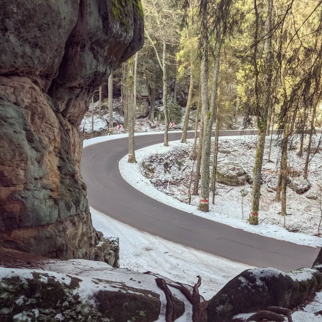 Skalne Grzyby@2022-01-17 - Photo 2