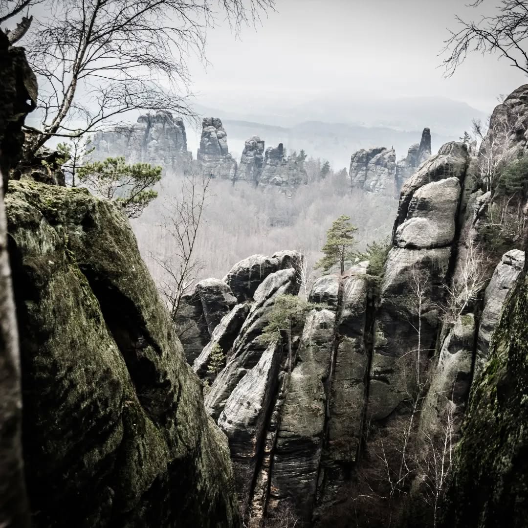 Bad Schandau@2023-03-01 - Photo 7