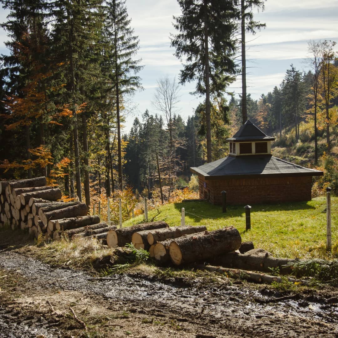 Wielka Sowa@2021-10-28 - Photo 8