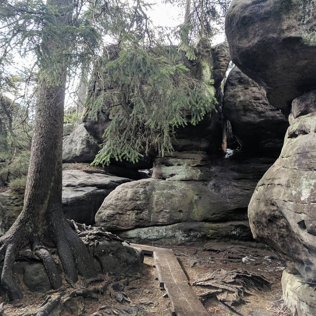 Góry Stołowe@2021-04-07 - Photo 8