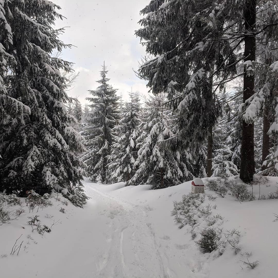 Góry Złote@2021-03-22 - Photo 7