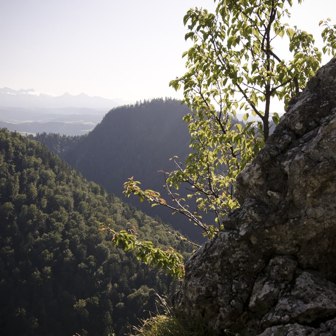 Pieniny@2021-08-05 - Photo 8