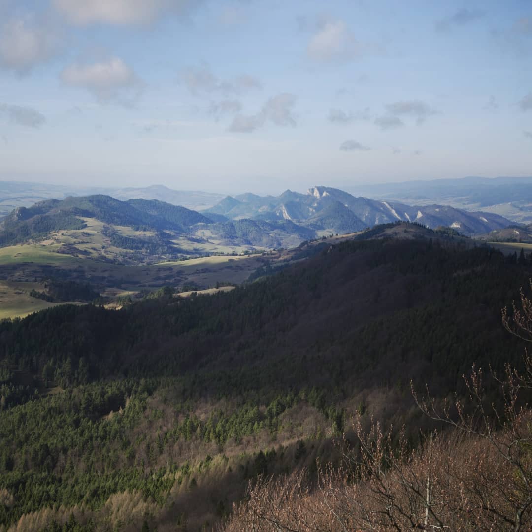 Wysoka 1052 Npm@2021-11-15 - Photo 8