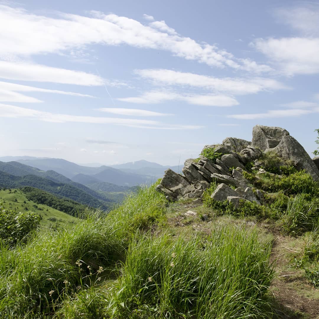 Tarnica (1346 m n.p.m.) – najwyższy szczyt polskich Bieszczadów@2021-06-19 - Photo 1