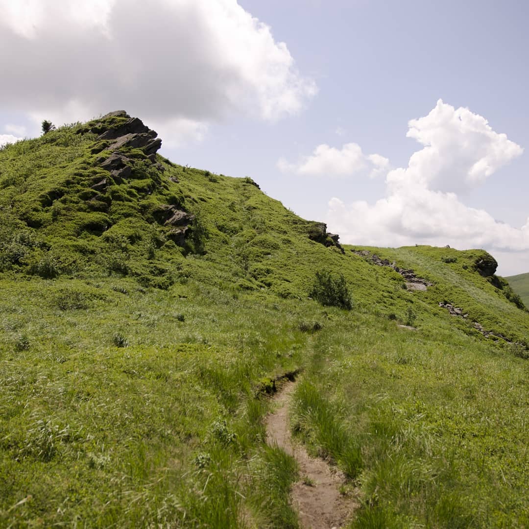 Tarnica (1346 m n.p.m.) – najwyższy szczyt polskich Bieszczadów@2021-06-19 - Photo 9