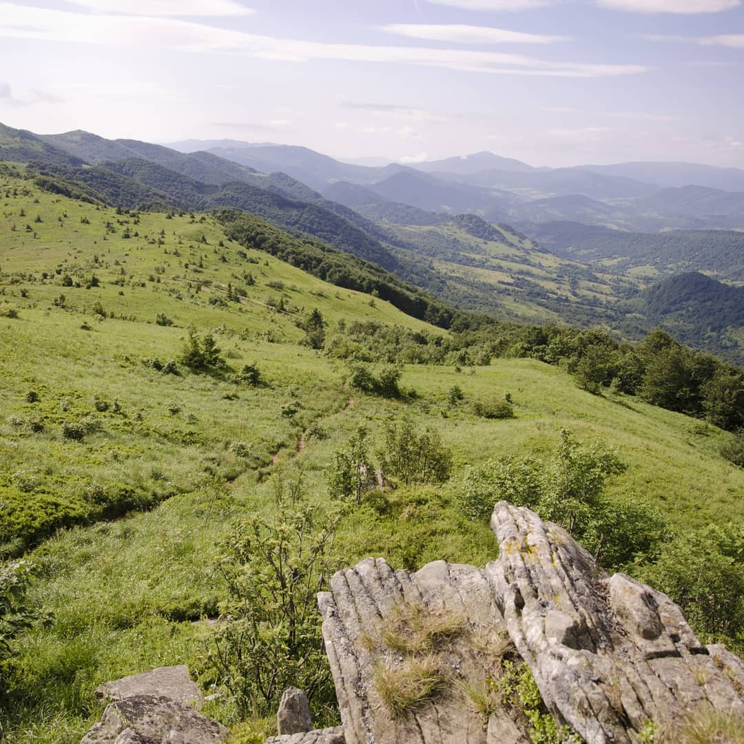 Tarnica (1346 m n.p.m.) – najwyższy szczyt polskich Bieszczadów@2021-06-19 - Photo 2