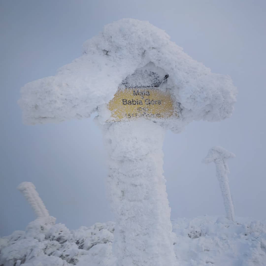Babia Góra, 1725 m npm@2021-12-16 - Photo 6