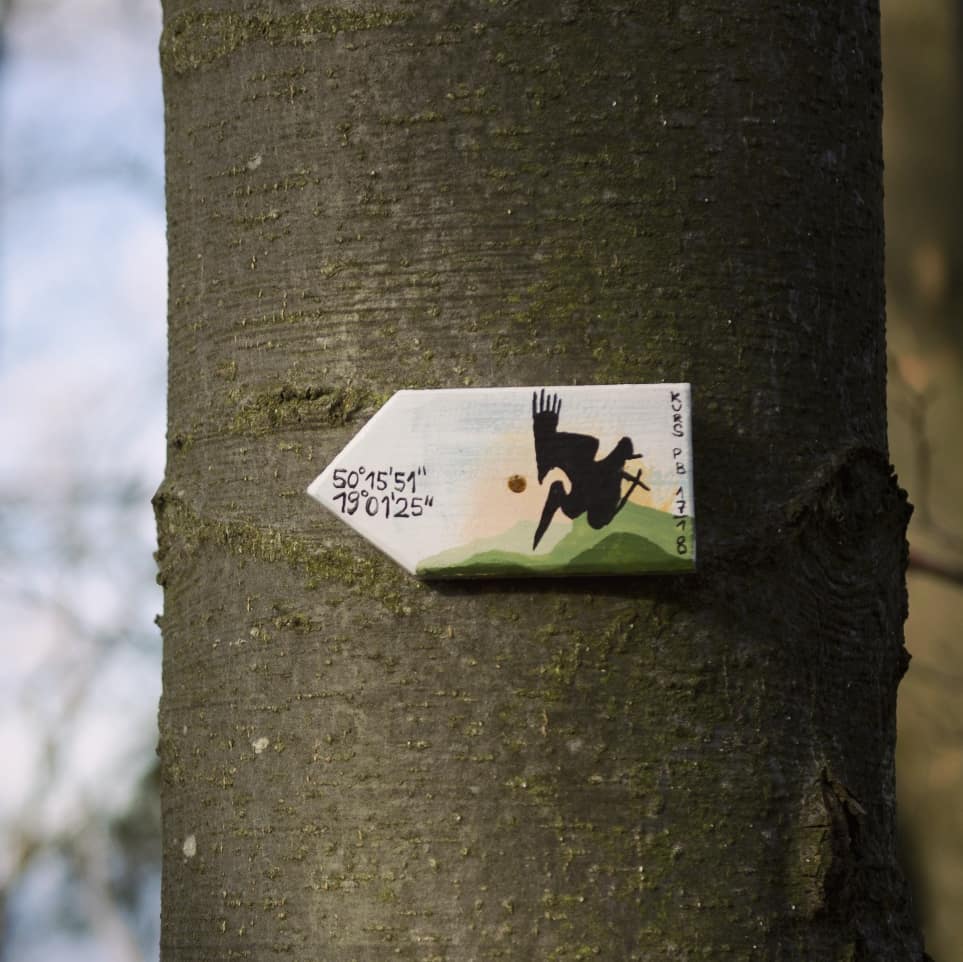 Wysoka 1052 Npm@2021-11-15 - Photo 10