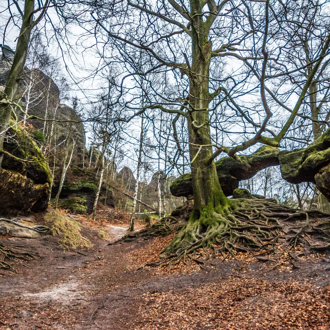 Bad Schandau@2023-03-01 - Photo 8