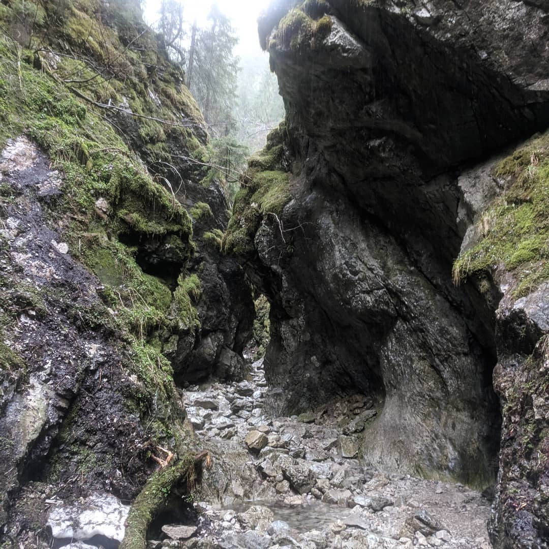 Dolina Kościeliska@2021-04-23 - Photo 2