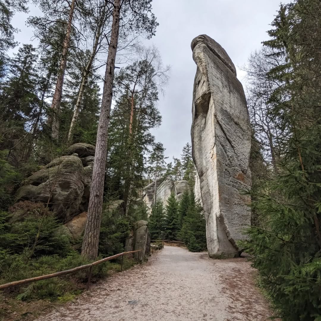 Adršpašské skály@2023-04-02 - Photo 8