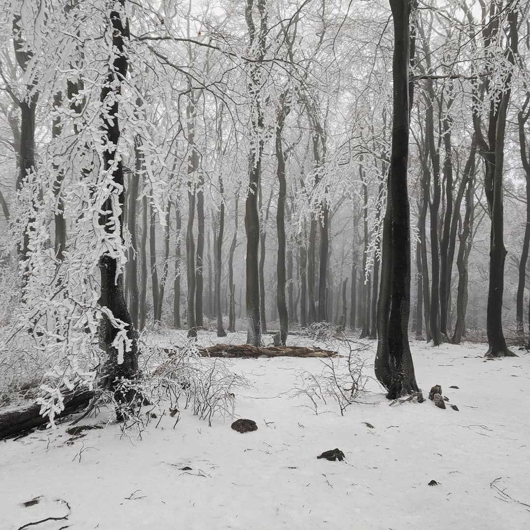 Góry Sowie@2020-12-29 - Photo 6