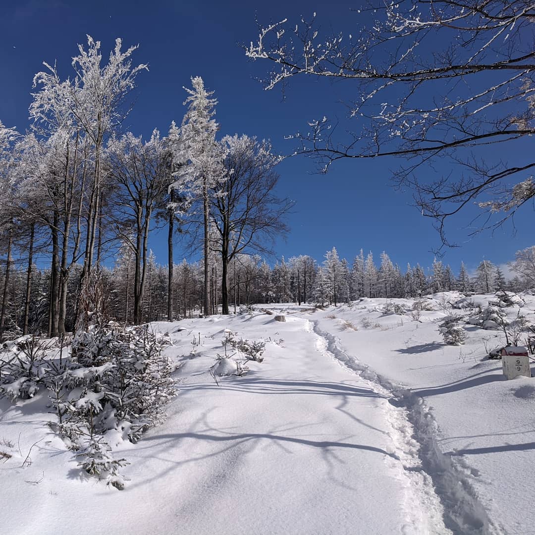 Góry Złote@2021-03-22 - Photo 2