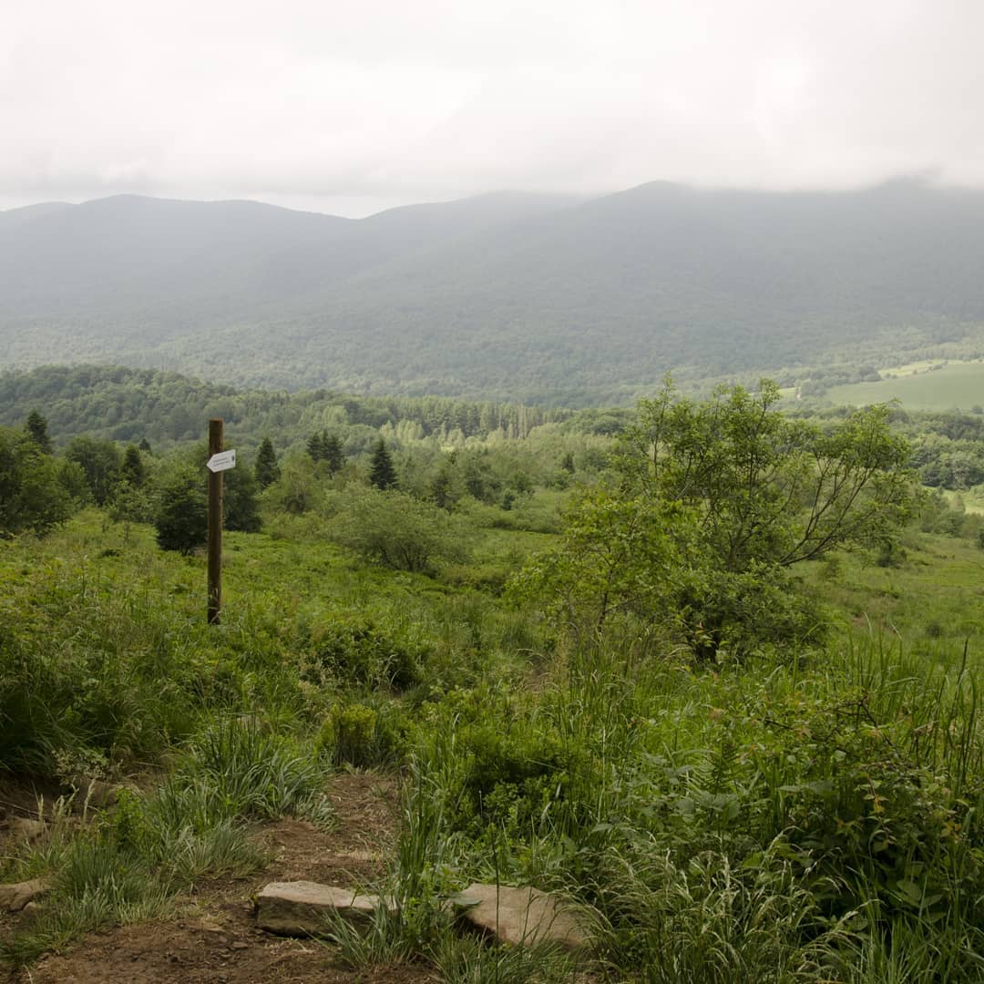Bieszczady@2021-06-22 - Photo 2
