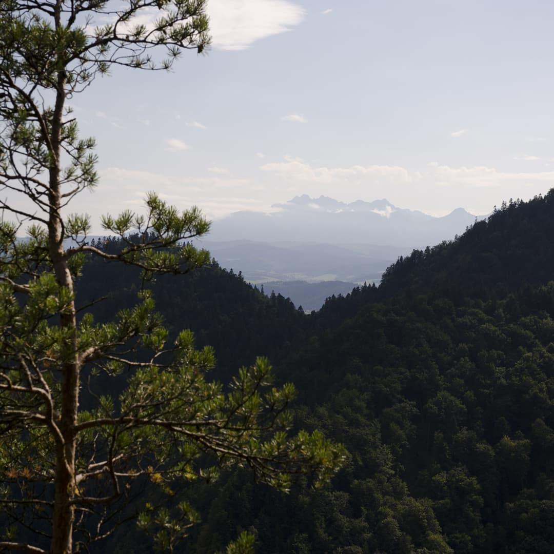Pieniny@2021-08-05 - Photo 5